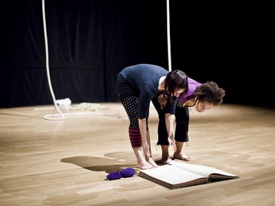 Compagnie des Pieds Perchés