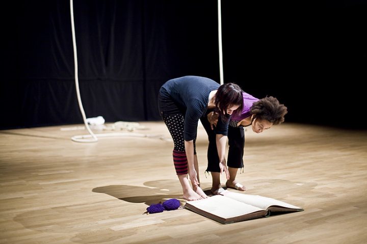 Compagnie des Pieds Perchés