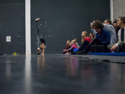 Cirqueon defilé 7. 2. 2018
