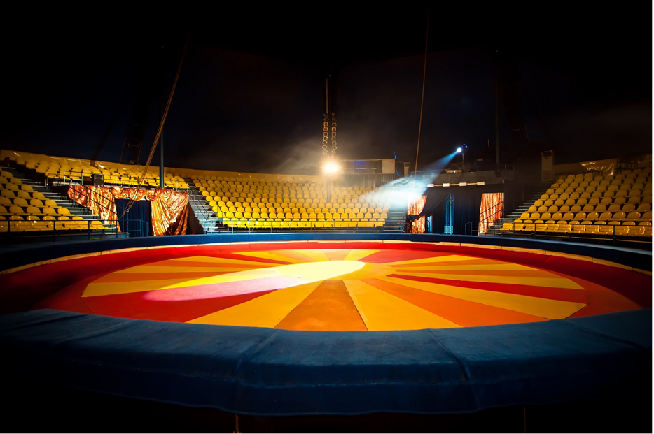 The situation of circus in the EU Member States