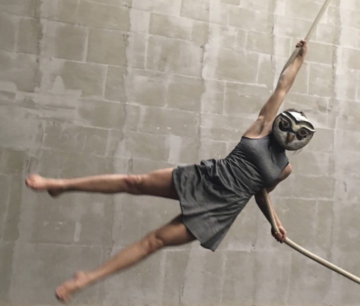 Feel The Universe Circus Company