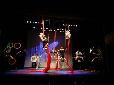 Cirqueon akademie!