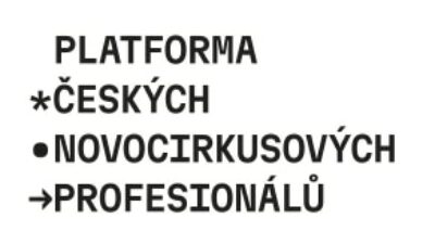 Analýza současného stavu cirkusových umění v ČR za rok 2022: jednotlivci a organizace