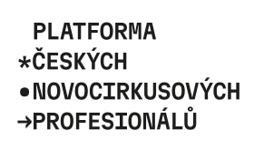 Analýza současného stavu cirkusových umění v ČR za rok 2022: jednotlivci a organizace